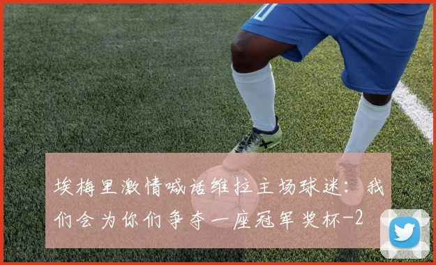 埃梅里激情喊话维拉主场球迷：我们会为你们争夺一座冠军奖杯