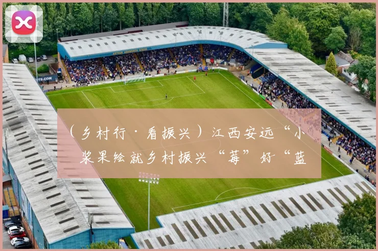 （乡村行·看振兴）江西安远“小”浆果绘就乡村振兴“莓”好“蓝”图