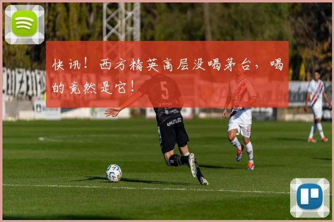 快讯！西方精英高层没喝茅台，喝的竟然是它！