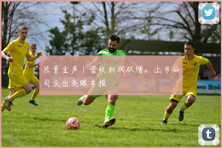 尺素金声丨营收利润双增，上市公司交出亮眼年报